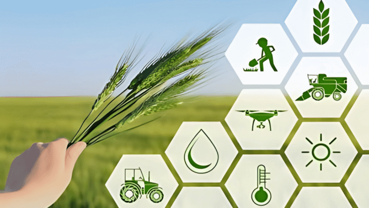 What are the latest trends in AgroTech in November 2022