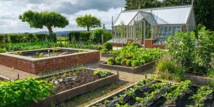 What is the 5 biggest problem in permaculture