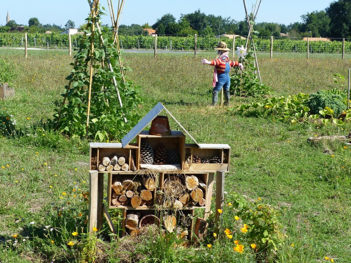 what-is-the-5-biggest-problem-in-permaculture-the-agrotech-daily