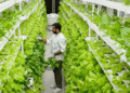 3 Technologies That Are Redefining Agriculture