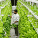 3 Technologies That Are Redefining Agriculture