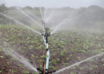 Most-effective-and-efficient-irrigation-systems-in-agriculture-Agrotech-Daily