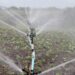 Most-effective-and-efficient-irrigation-systems-in-agriculture-Agrotech-Daily