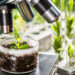 New-Plant-Breeding-Technologies-for-Improving-Crop-Productivity-and-Quality-Agrotech-Daily