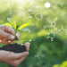 New Plant Breeding Technologies for Improving Crop Productivity and Quality
