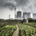 Pollution's effects on Agriculture