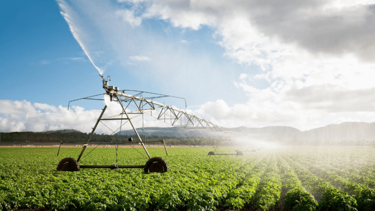 Smart Agriculture Solutions for Harvesting Crops