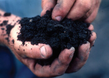 4 Ways To Improve Soils Without Boring Fertilizers