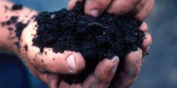 4 Ways To Improve Soils Without Boring Fertilizers