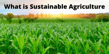 What is Sustainable Agriculture