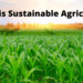 What is Sustainable Agriculture
