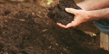 To Improve Soils Without Boring Fertilizers