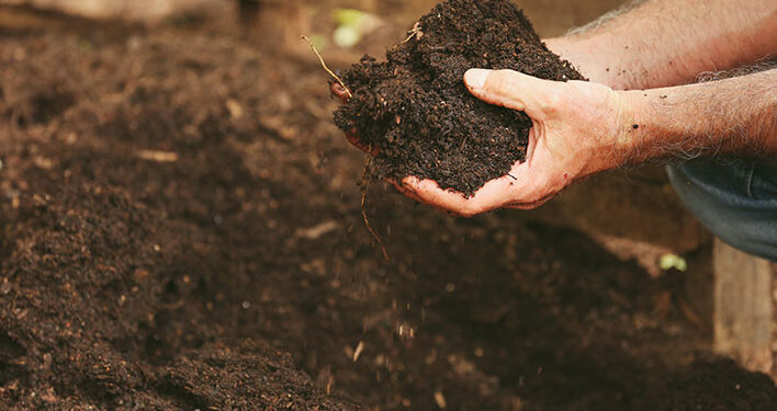 To Improve Soils Without Boring Fertilizers