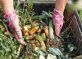 Agricultural Waste Management and Composting