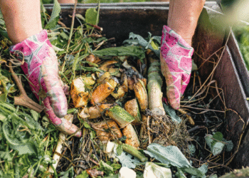 Agricultural Waste Management and Composting