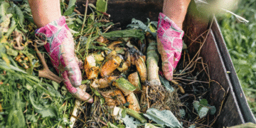 Agricultural Waste Management and Composting