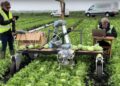 Automated-Farming-agrotechdaily