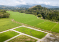 Climate-smart agriculture and sustainable land use