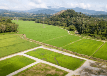 Climate-smart agriculture and sustainable land use