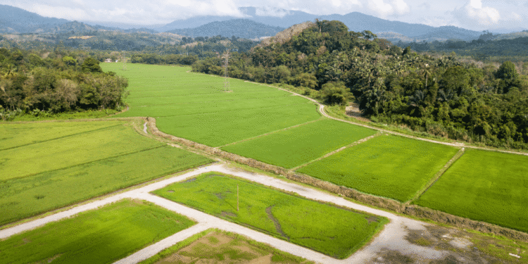 Climate-smart agriculture and sustainable land use