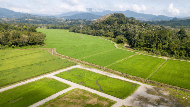 Climate-smart agriculture and sustainable land use