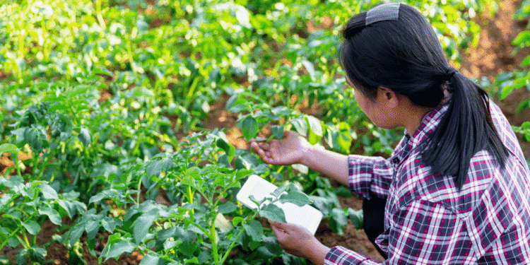 Precision agriculture and data-driven farming