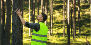 Precision forestry and sustainable forest management