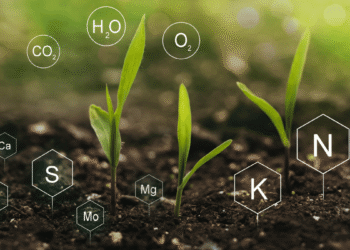 Precision nutrient management and soil health