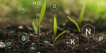 Precision nutrient management and soil health
