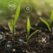 Precision nutrient management and soil health