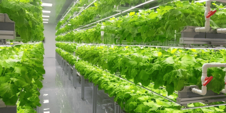 Smart greenhouses and controlled environment agriculture