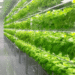 Smart greenhouses and controlled environment agriculture