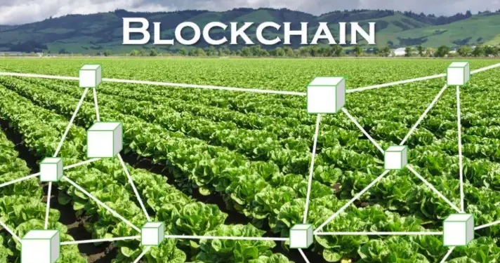 The-role-of-blockchain in agriculture and food systems-agrotechdaily