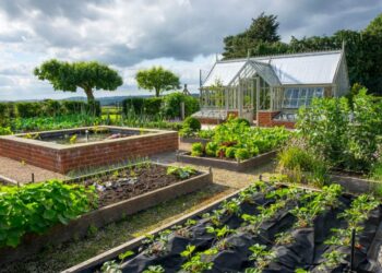 What-is-the-biggest-problem-in-permaculture-agrotechdaily