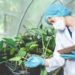 Agricultural biotechnology-and-plant-science-agrotechdaily