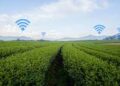 Agricultural-data-privacy-and-security-agrotechdaily