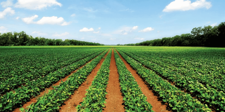 Agricultural diversification and niche crops1