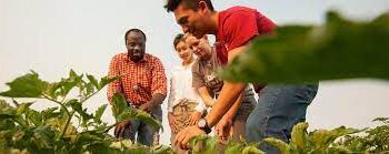 Agricultural-education-and-professional-development-agrotechdaily