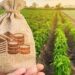 Agricultural financing