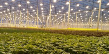 Agrotech-startups-and-innovation-in-agriculture-agrotechdaily