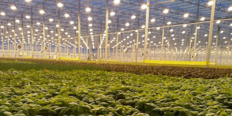 Agrotech-startups-and-innovation-in-agriculture-agrotechdaily
