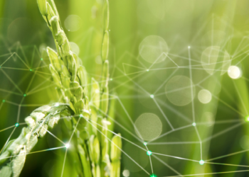 Agtech-and-the-digital-transformation-of-rural-areas-agrotechdaily