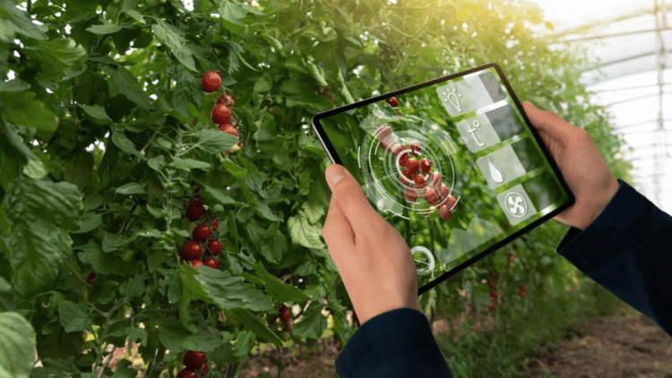 Agtech for improving resource efficiency in agriculture