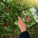 Agtech for improving resource efficiency in agriculture