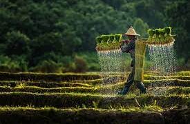 Agtech-for-smallholder-farmers-agrotechdaily