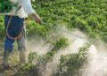 Crop-Protection-How-Do-Pesticides-Kill-Bugs-agrotechdaily