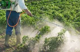 Crop-Protection-How-Do-Pesticides-Kill-Bugs-agrotechdaily