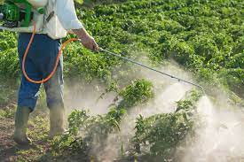 Crop-Protection-How-Do-Pesticides-Kill-Bugs-agrotechdaily