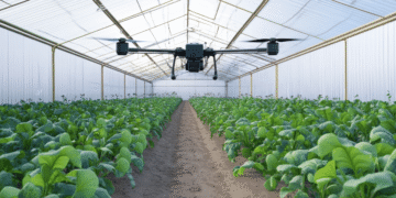 Drones for Crop Monitoring and Management