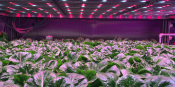 How-3D-Printing-Is-Changing-The-Future-Of-Agriculture-agrotechdaily